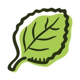 Free Oregano Blatt Pflanze Symbol