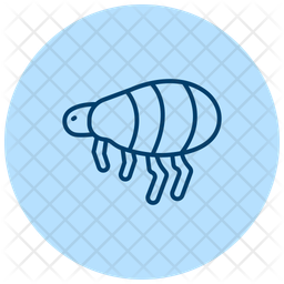 벼룩 곤충 점프 아이콘