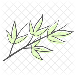 Bamboo  Icon
