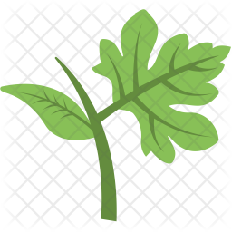 Feuille Branche Feuilles Icône