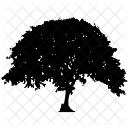 Tree Nature Ecology Icon