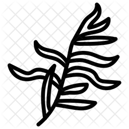 Estragao Erva Planta Aromatica Ícone