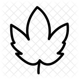 Automne Arbre Arbres Icône