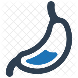 Gastroenterologie Humaine Estomac Icône