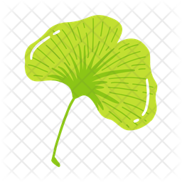 Leaf Ash Leaf Beech Leaf Icon