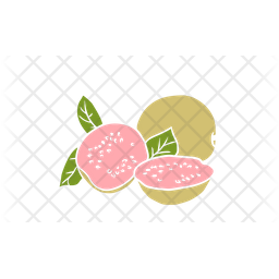 Guava Fruit Food Icon