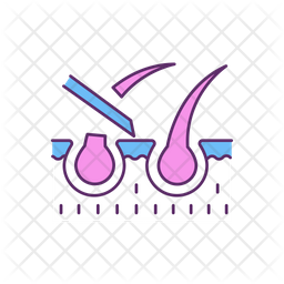 Beauty Hair Treatment Icon