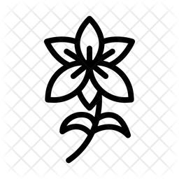 Lily  アイコン