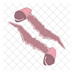 Papel Rasgado Ícone