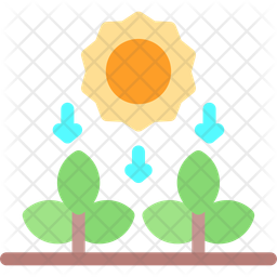 Photosynthesis Plant Process Icon
