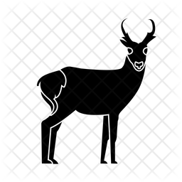 Wild Animals Pronghorn Mammals Icon