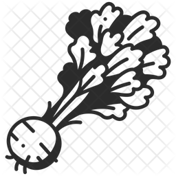 Knollensellerie Sellerie Wurzel Symbol