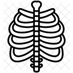 Skeletal System Bones Internal Icon
