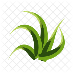 Turfgrass  アイコン
