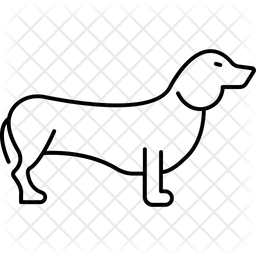 Fennec Fox Fox Monofiletico Icono