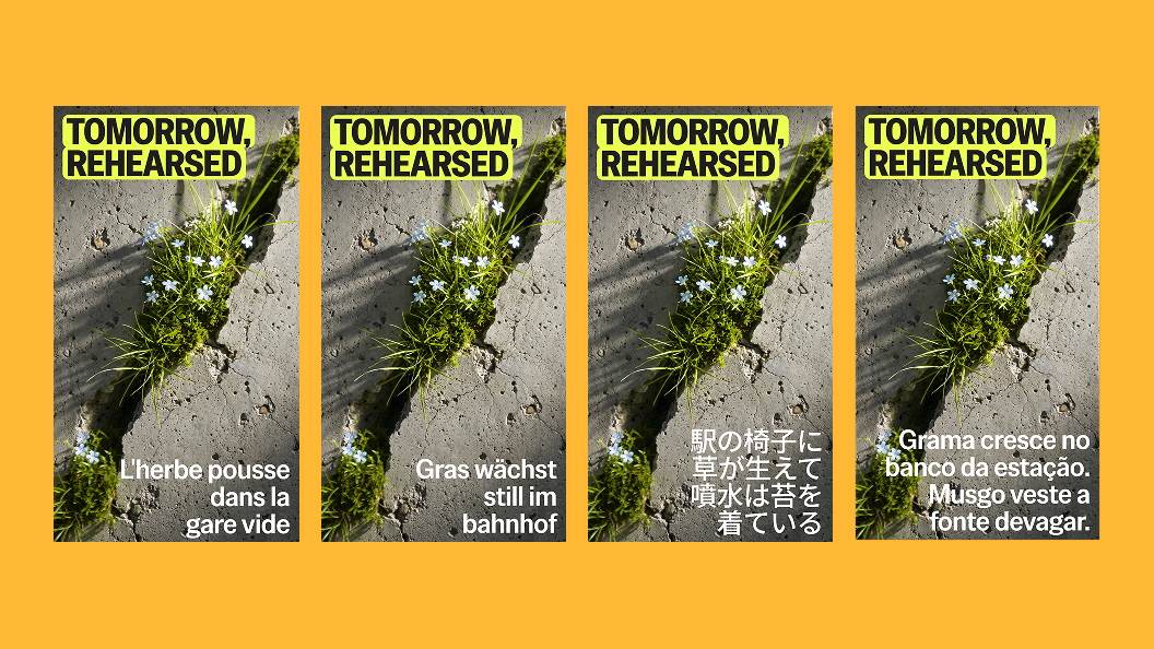 Four vertical social posts on an orange background. Each shows the same photograph of grass and small blue flowers growing from a crack in concrete, with Tomorrow, Rehearsed in black on an acid yellow highlight at the top and a line of campaign copy at the bottom in French, German, Japanese, and Portuguese.