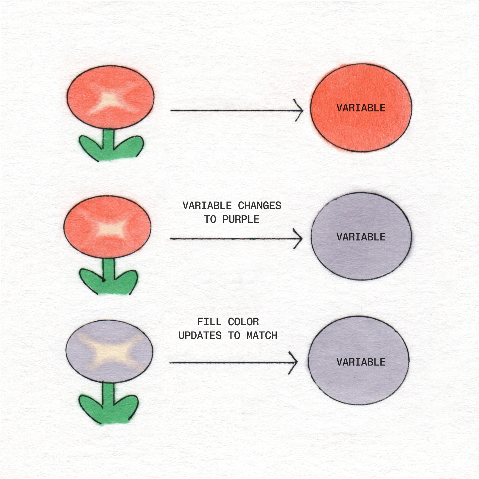 A diagram shows a flower and a circle labeled "VARIABLE," illustrating how changing the variable's color from red to purple updates the flower's fill color to match.