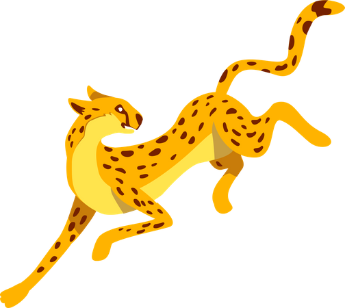 Gato selvagem  Ilustração