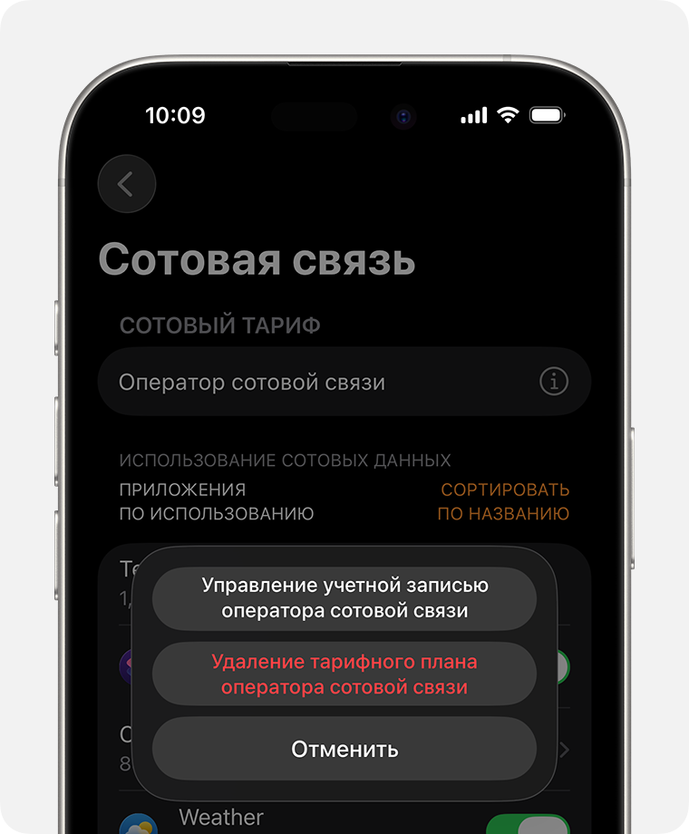 Экран iPhone с параметрами настройки сотовой связи в приложении Watch