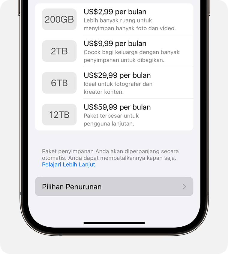 Layar iPhone menampilkan tombol Downgrade Options (Opsi Penurunan) di bagian bawah.