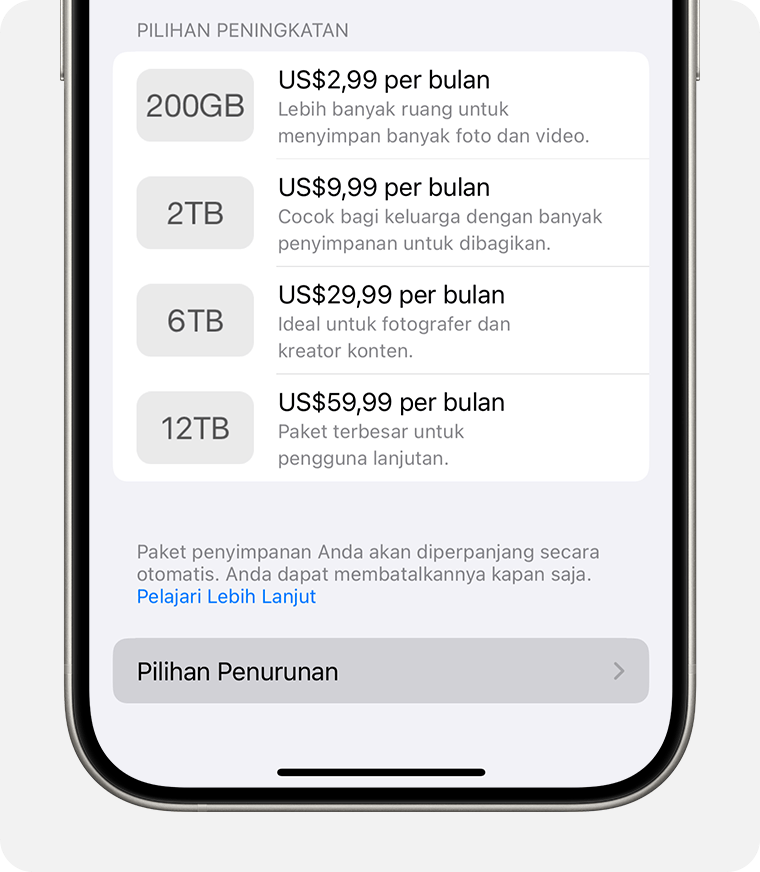 Layar iPhone menampilkan tombol Downgrade Options (Opsi Penurunan) di bagian bawah.