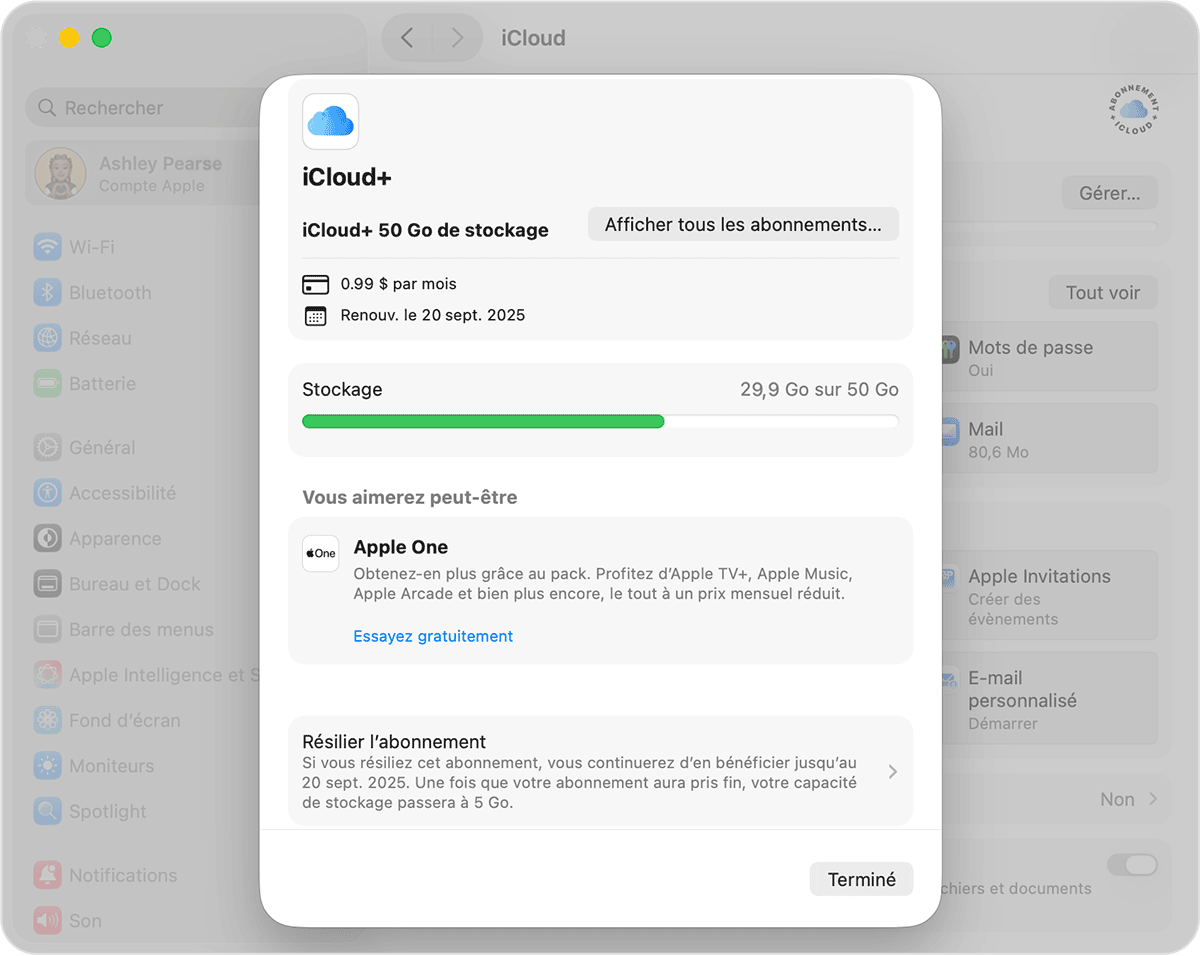 Écran macOS affichant le bouton Voir tous les abonnements.