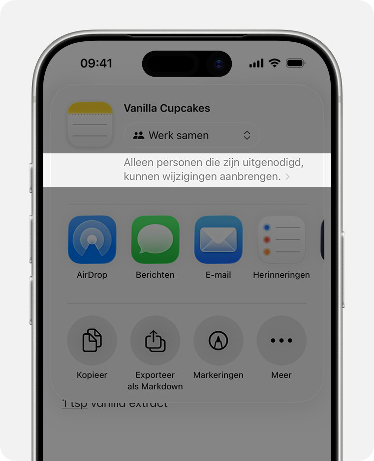 'Alleen personen die zijn uitgenodigd, kunnen wijzigingen aanbrengen' staat bovenaan de pagina, onder 'Werk samen' of 'Stuur kopie'.