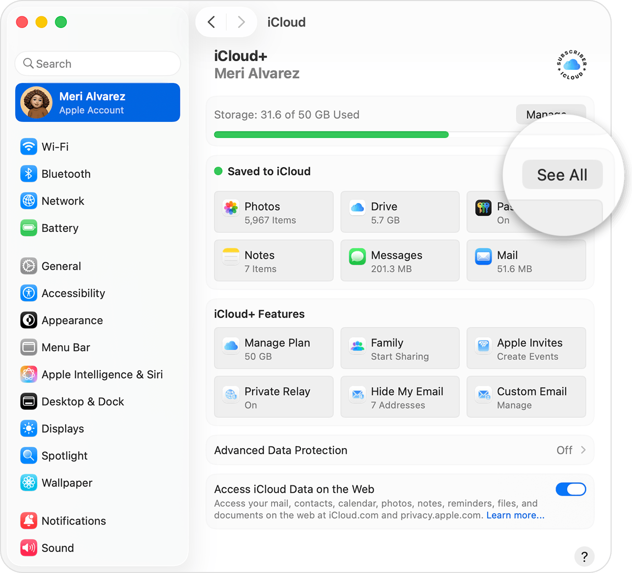 macOS screen showing the main iCloud+ settings screen.