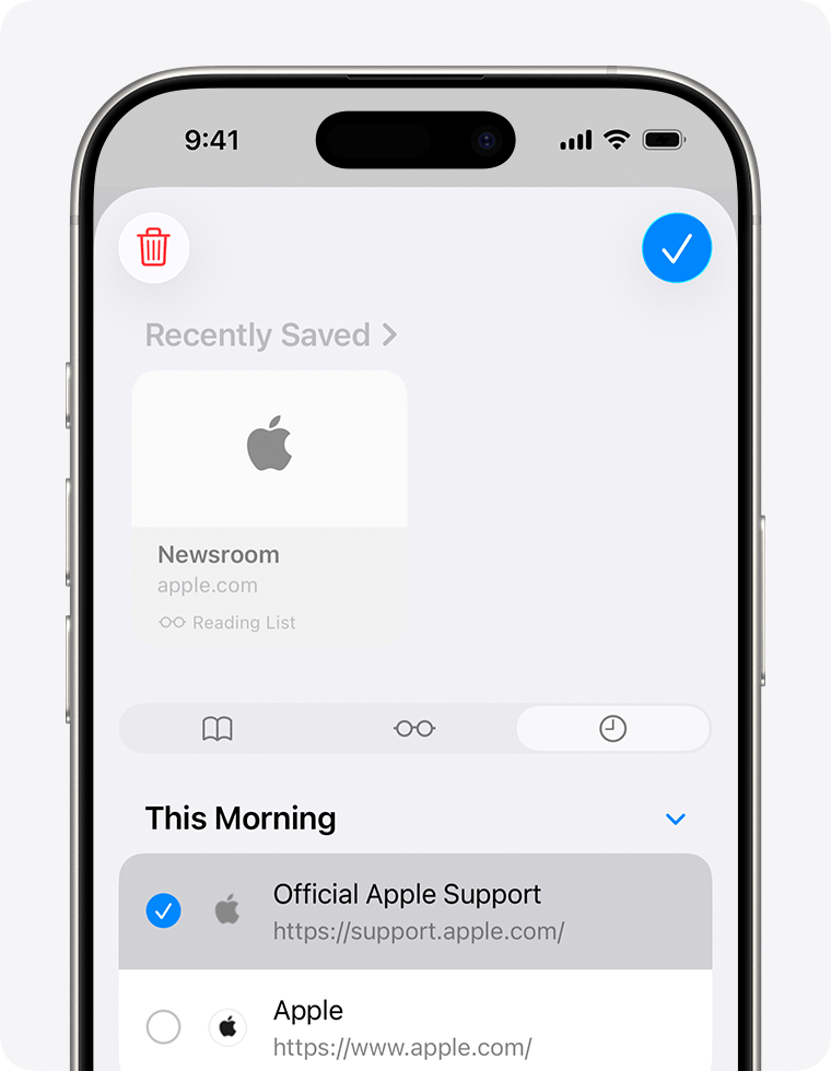 iPhone screen showing the History tab with a website selected to delete.