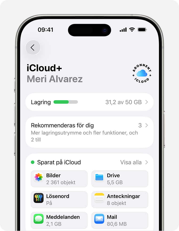 Avsnittet iCloud-lagring i Inställningar som visar rekommendationer och appalternativ