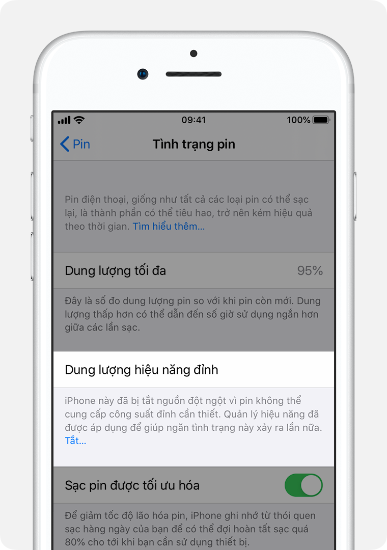 Màn hình Tình trạng pin với mục Dung lượng hiệu năng đỉnh được tô sáng.