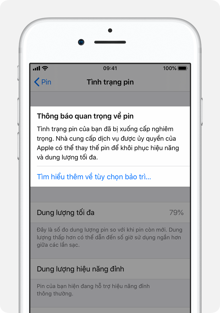 Màn hình Tình trạng pin với mục Thông báo quan trọng về pin được tô sáng.
