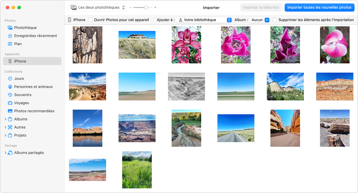 Écran d’un Mac affichant les photos pouvant être importées