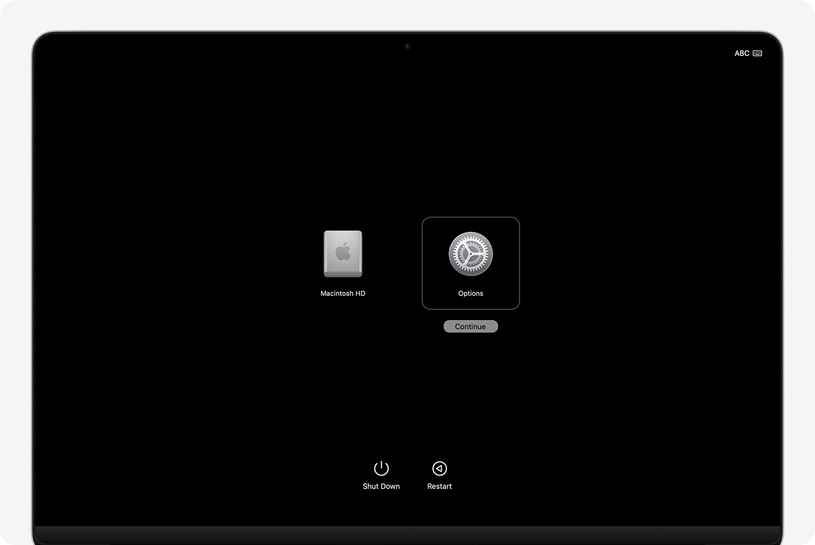 Startup options screen on a Mac with Apple silicon.