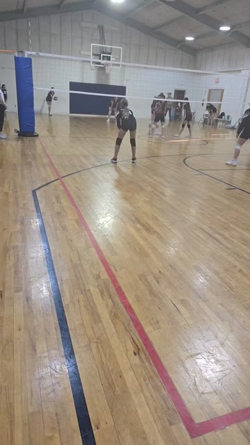 🎠Ashley Olles Buster Horses