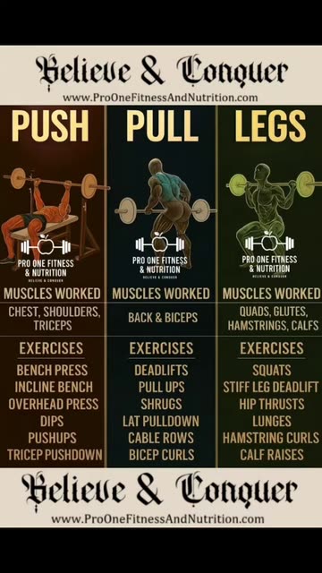 Maldonado Enterprise