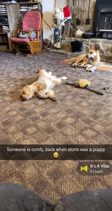 Courtny Caselton 🐄🩺