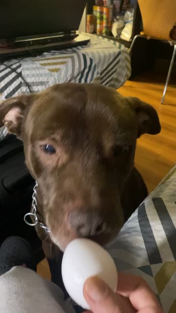 Star☆Kandi💚MacMama💎D.Girl