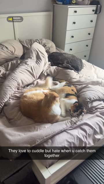 Alessandra Paolinetti