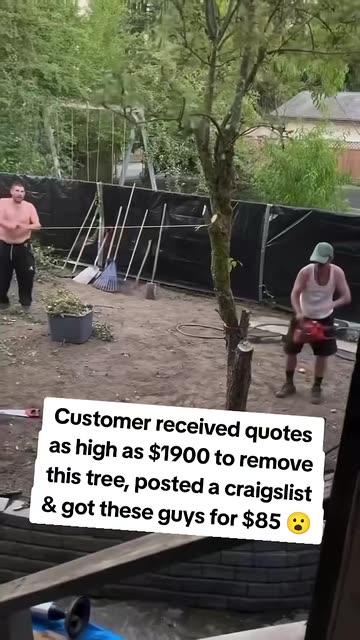 Martin_Extraordinaire