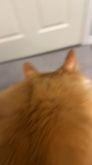 Spicy Italian Meatball :)