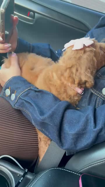 Jaleska Lanzas Mendoza