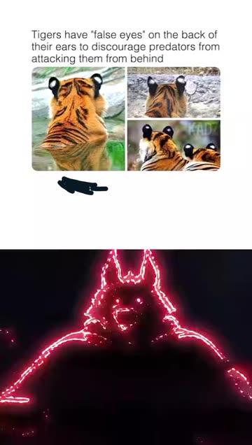 Big Joe😎✌️✌️