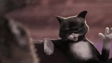 𝘉𝘤𝘩𝘬𝘰𝘭𝘭𝘢𝘢'🌟🧃.