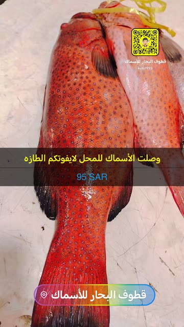 قطوف البحار للأسماك