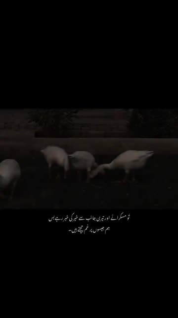 Itx Rehmanii 🐣👻😘