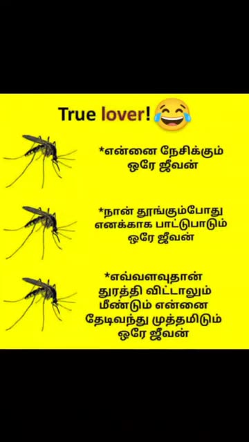 😈black 💥star💥