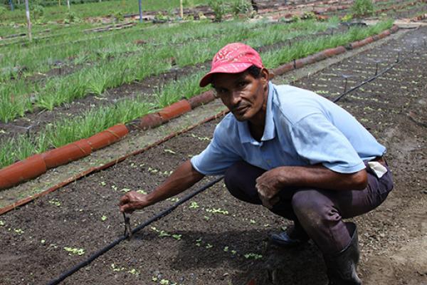 Resilience and Humanitarian-Development-Peace Nexus