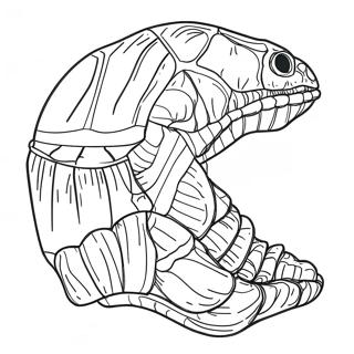 Pagina Da Colorare Di Fossili 15000-11811