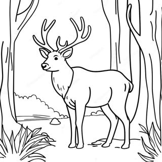 Majestic Elk In The Forest Coloring Page 18471-14580